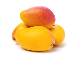 Mango on a white background