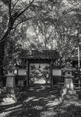 Fototapeta na wymiar 京都、松ヶ崎大黒天（妙円寺）の門と境内の風景（モノクローム）