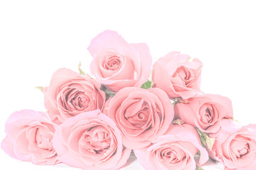 Sweet rose in soft style for background