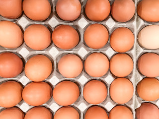 Chicken eggs in a box, chicken eggs are foods that are highly nutritious.