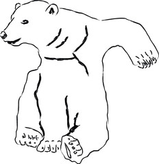 Vector illustration Funny polar bear. Sketch polar bear sitting in a funny pose. 
