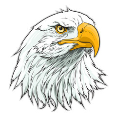 American eagle head