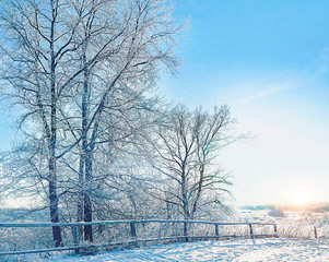 Winter rustic landscape with snowy trees. winter forest, cold season background. Winter road and trees covered with snow. copy space