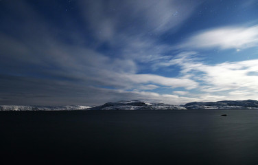 natural species on a winter polar night in the Russian Arctic
