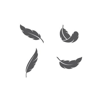 Fototapeta feather logo template vector icon
