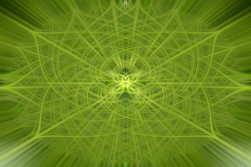 Beautiful green abstract background, mandala with a lot of lines