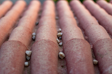 Roof tiles with small stones between the tiles.
