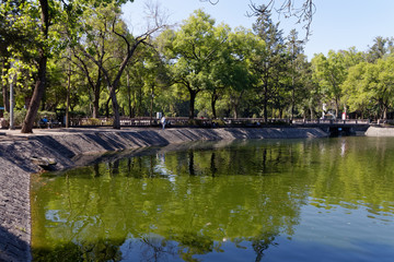 Park Bosque de Chapultepec w Ciudad de Mexico