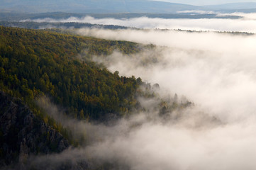 Morning fog in the mountains covered by forest.