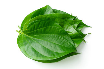 Green Piper betle leaf on white background