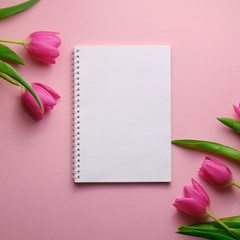 Pink Holland tulips on pink background with blank notepad for text, copyspace, background, top down view, square shot