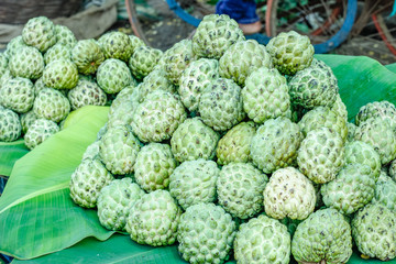Fototapeta premium A bunch of whole ripe custard Apple 
