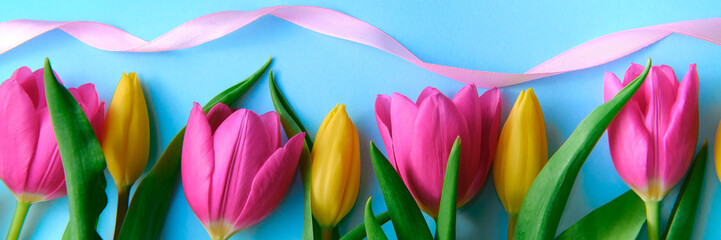 colourfull flowers with pink ribbon on blue background