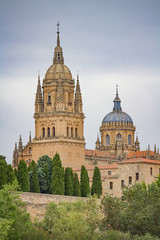 Fototapeta na wymiar Salamanca Cathedral, Spain