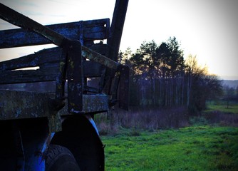 the last remnants of an old weathered trailer with a birch grove in the background