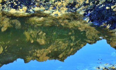 yellow clay is reflected in a puddle