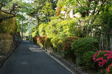 雲雀丘の街並み