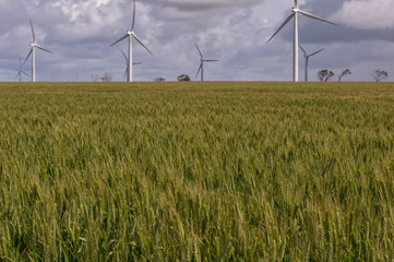 Wind Farm in rural South Australia provides green alternative energy