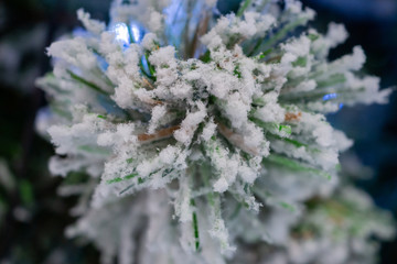 Closeup Christmas tree with snow background