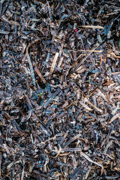 Brown seaweed rushed up on the shore of a beach, paralel full frame background texture shot
