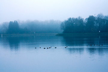 Blaue Seelandschaft im Herbst oder Winter mit Bäumen am Ufer und Enten auf dem Wasser