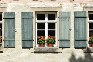 Window with Blue Wooden Shutters and Red Flowers 6966-042