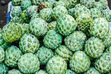 A bunch of whole ripe custard Apple  