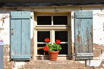 Fototapeta na wymiar Window with Worn Blue Shutters and Red Flowers 7023-042