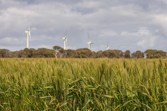 Wind Farm In Rural South Australia Provides Green Alternative Energy