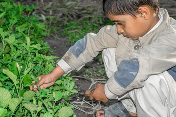 a very young orphan child is forced into child labor and working at a construction site and his...