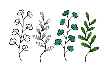 Hand drawn flower vector suitable for wedding, background, poster and graphic desing