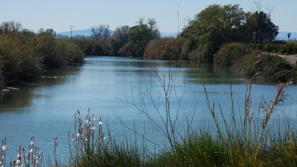 Fototapeta premium River