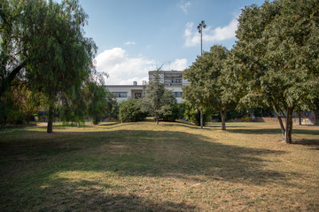 Park by Morning With Plants and Trees