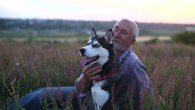 Elderly man with a gray hair and beard smiling and stroking dog in the field at sunset