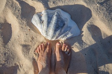 Stopy i wielka muszla na plaży