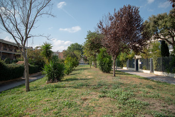 Park by Morning With Plants and Trees