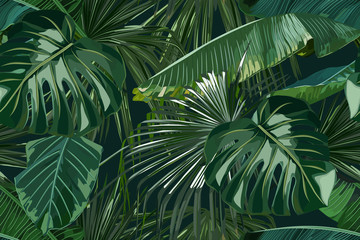 Fototapety  Lato wzór z liści tropikalnych palm. Modny nadruk w dżungli. Hawajskie tło. Ilustracja wektorowa
