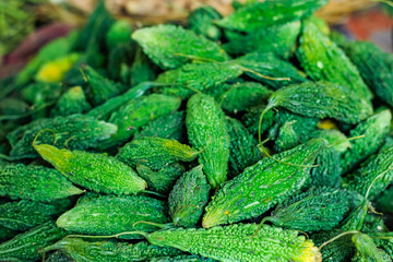 Fresh green bitter gourd bunch 