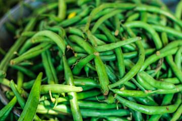Fresh green long bean bunch in basket 