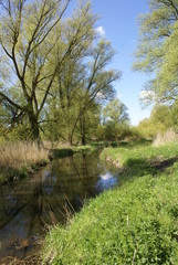 Fototapeta na wymiar Flusslauf Alte Süderwelbe