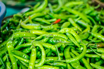 Fresh green chili 
