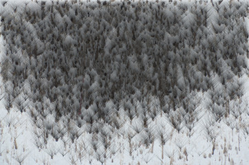 Large snow storm formed. White and Black glow to look horrible. The weather is scary.