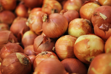 photographie culinaire