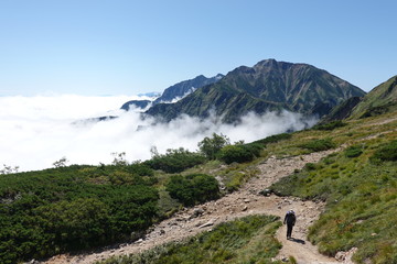 Fototapeta na wymiar Trail of Mt. Karamatsu (Japan alps / Japanese mountain)