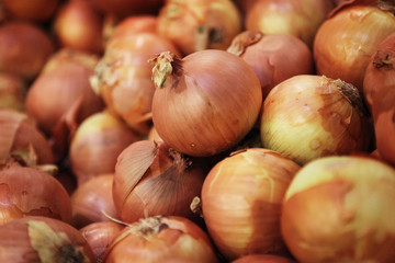 photographie culinaire