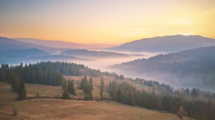 Fototapeta na wymiar Panorama of autumn mountains. Trees on sunrise hills in fog.