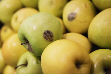 photographie culinaire