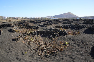 Lanzarote