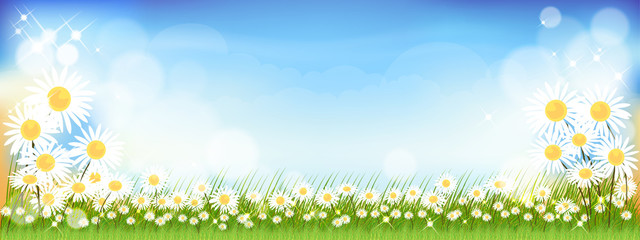 Vector summer nature background with cute tiny daisy flowers and green grass fields. Spring background with abstract blurry bokeh light effect. Tamplate banner for Easter or Spring background