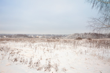 Winter landscape with village, forest and field
